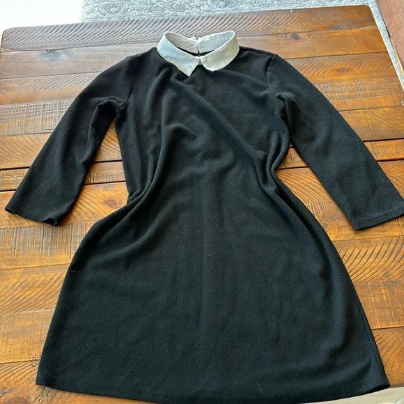 Dresses | Zara Trafaluc Size Small Black Dress With White Collar Good  Condition | Poshmark